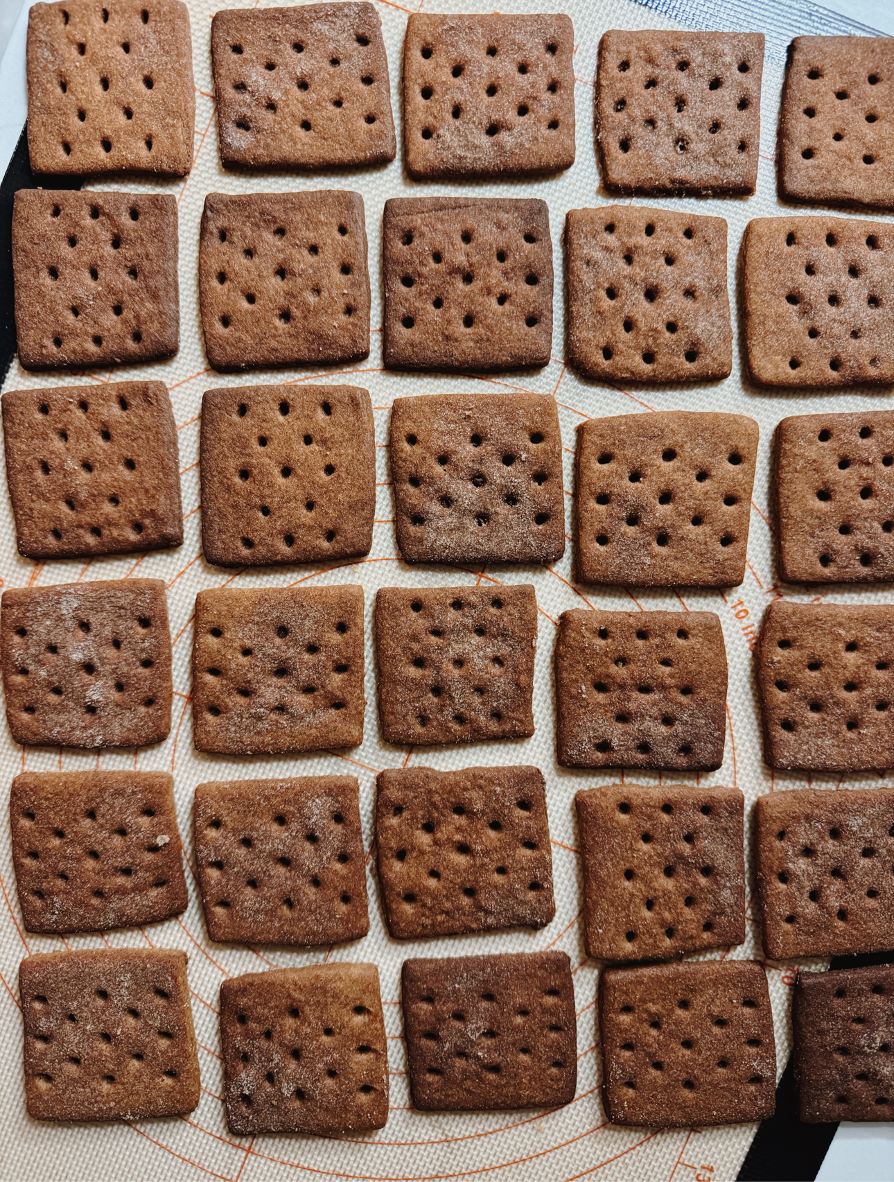 BUCKWHEAT CINNAMON GRAHAM CRACKERS